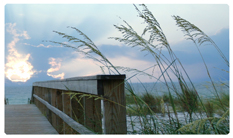 DNSEMP-C-125 Crossing Over (Boardwalk)